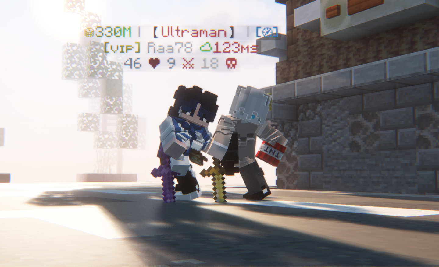 Dragon Fight